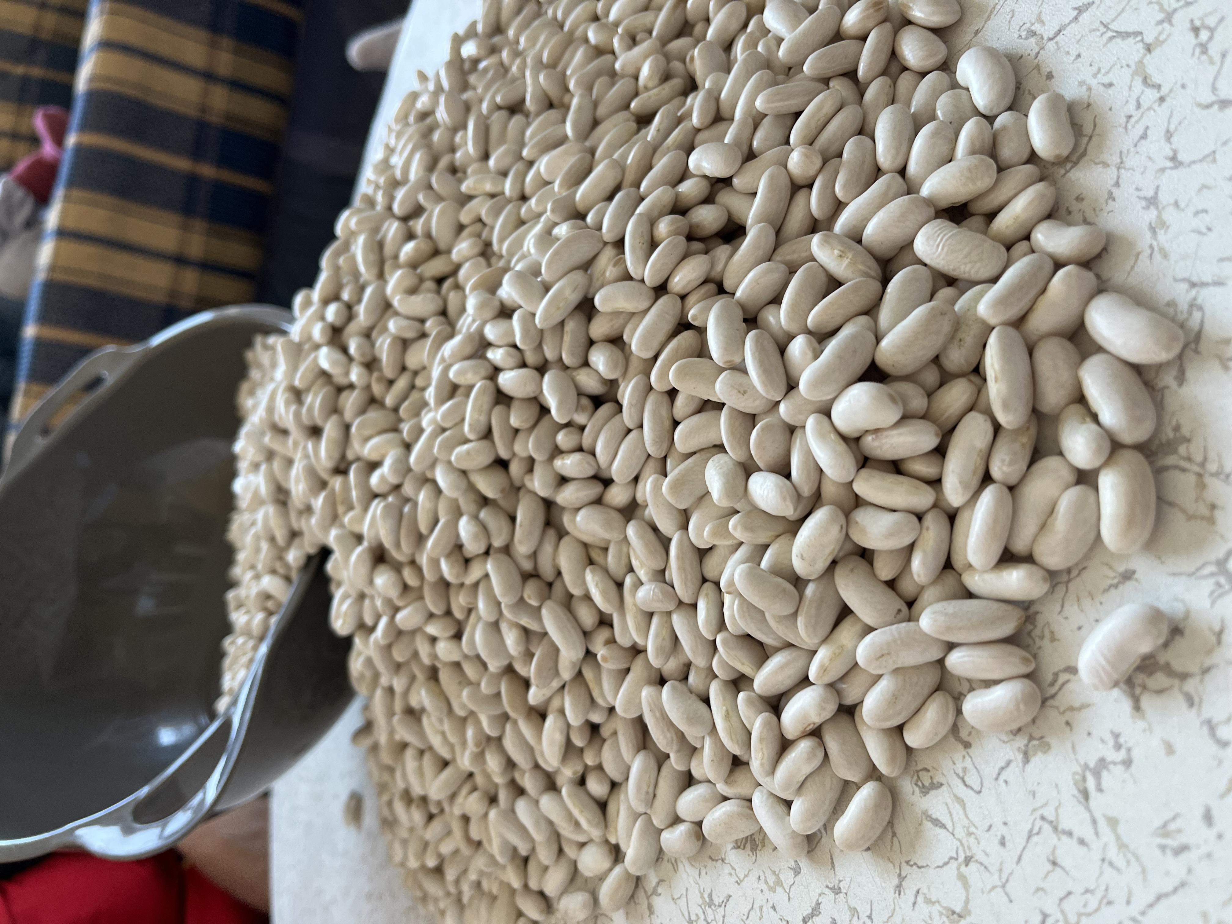 Beyza Demirdağ Satılık Fasulye (kuru) - 09.01.2026