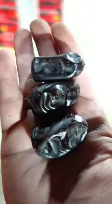 İran Tabriz Satılık Hurma