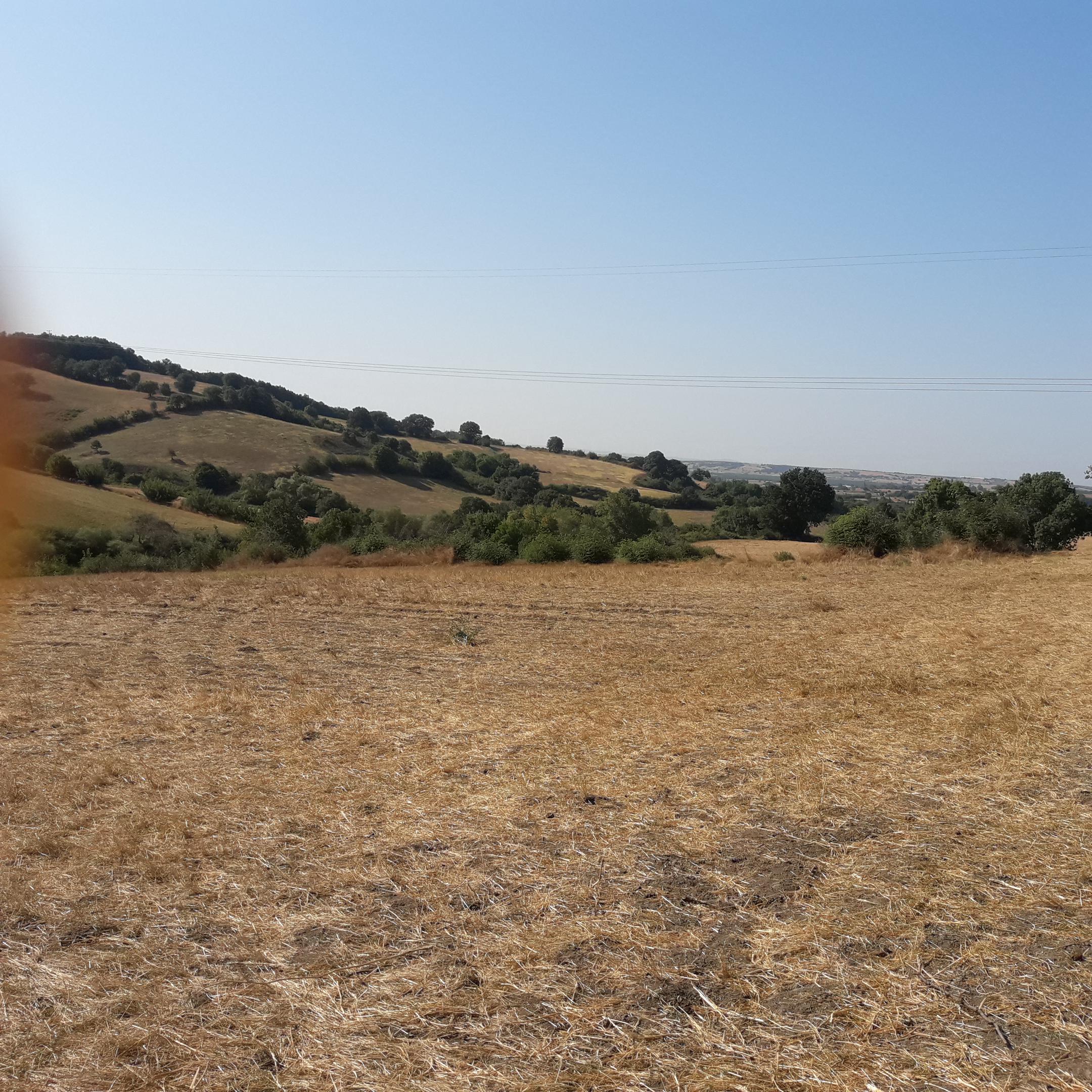 Tarla - Ahmet Gider tarafından verilen satılık tarla ilanını ve diğer satılık tarla ilanlarını tarimziraat.com adresinde bulabilirsiniz