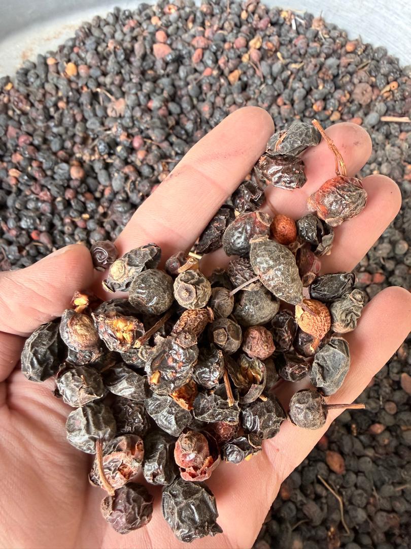 Kuşburnu - Ersin Altılar tarafından verilen satılık kuşburnu ilanını ve diğer satılık kuşburnu ilanlarını tarimziraat.com adresinde bulabilirsiniz