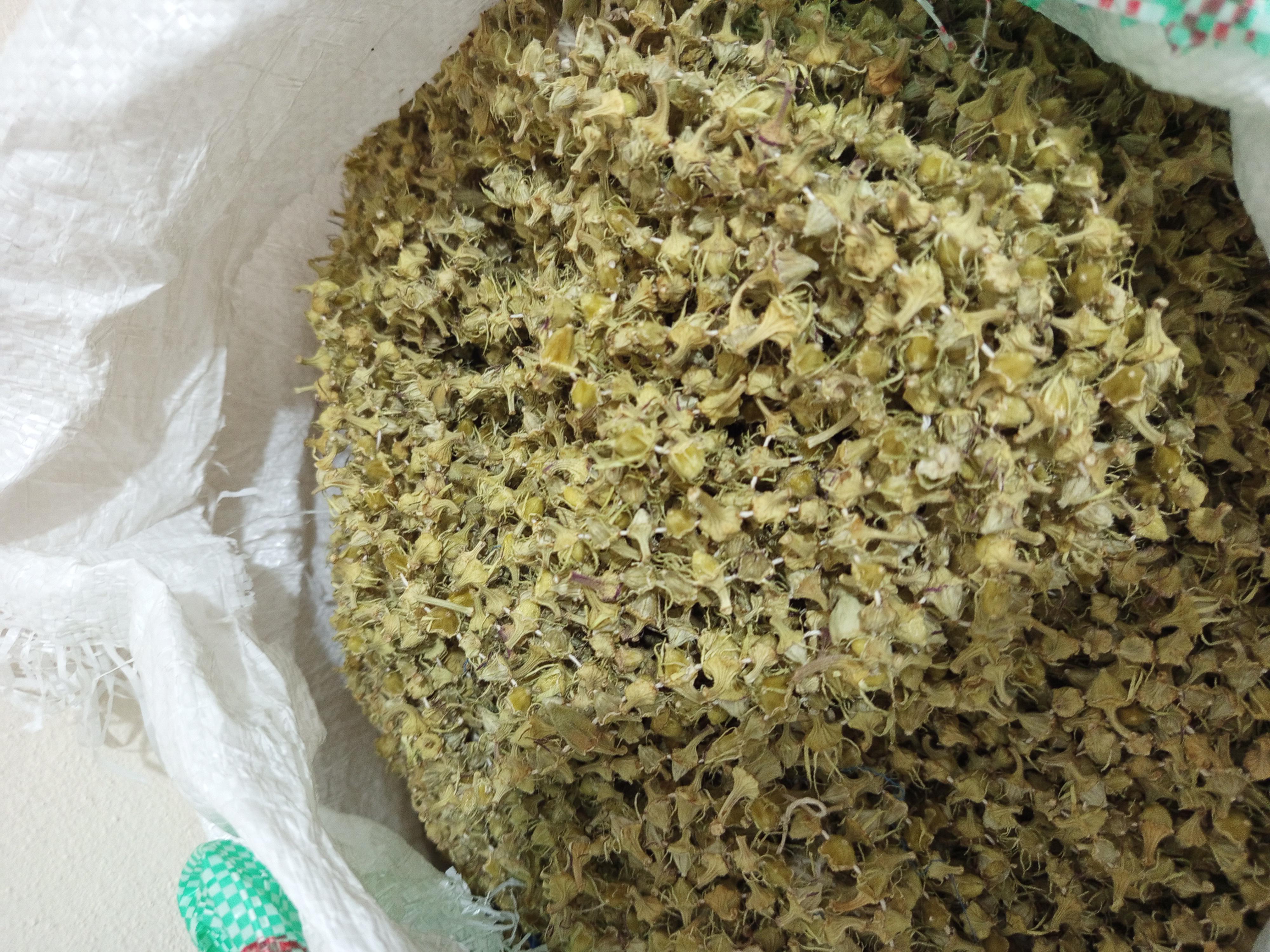 Bamya Kurusu - Suat Murat Dari tarafından verilen satılık bamya kurusu ilanını ve diğer satılık bamya kurusu ilanlarını tarimziraat.com adresinde bulabilirsiniz