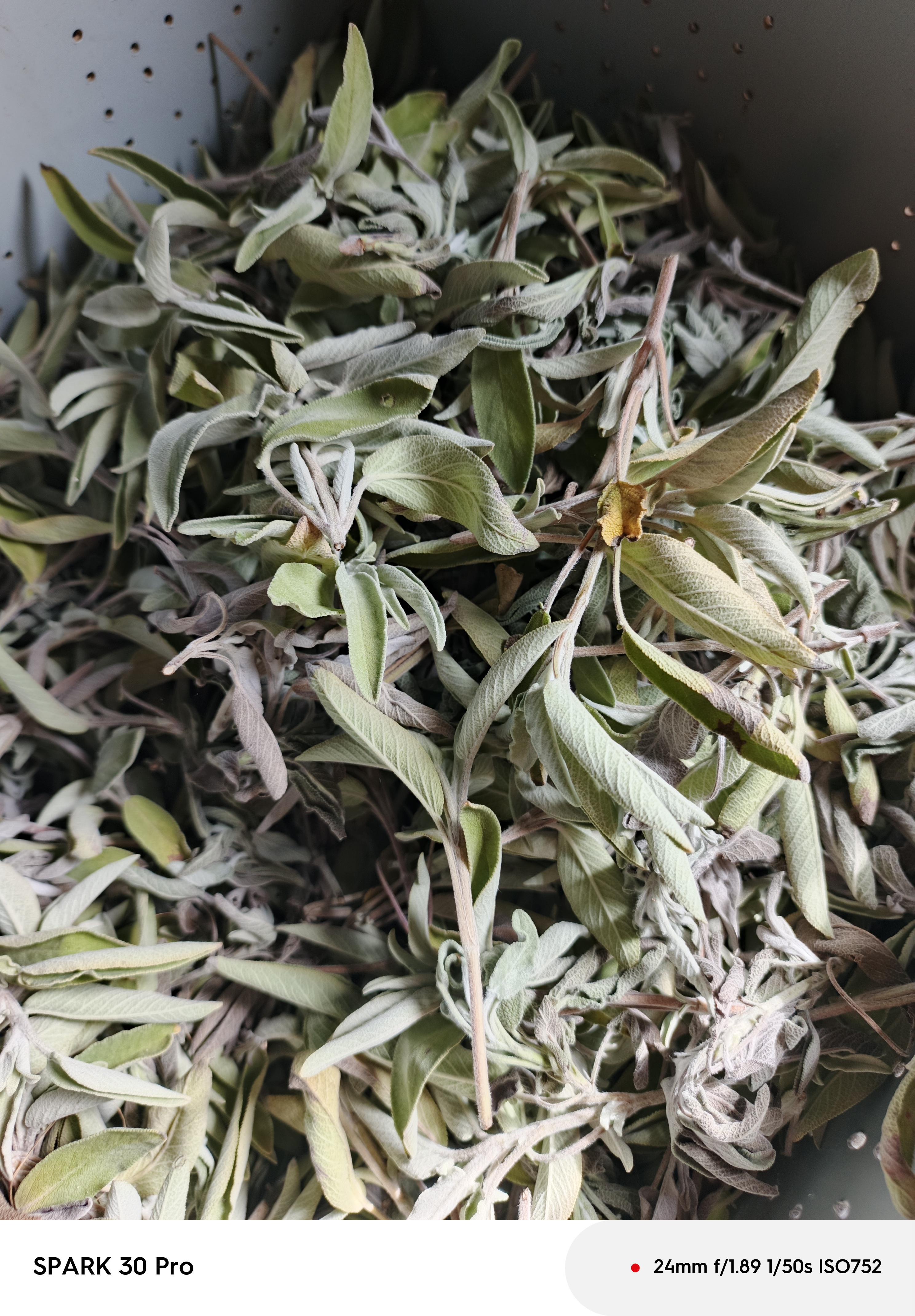 Adaçayı - Mete Ozan tarafından verilen satılık adaçayı ilanını ve diğer satılık adaçayı ilanlarını tarimziraat.com adresinde bulabilirsiniz