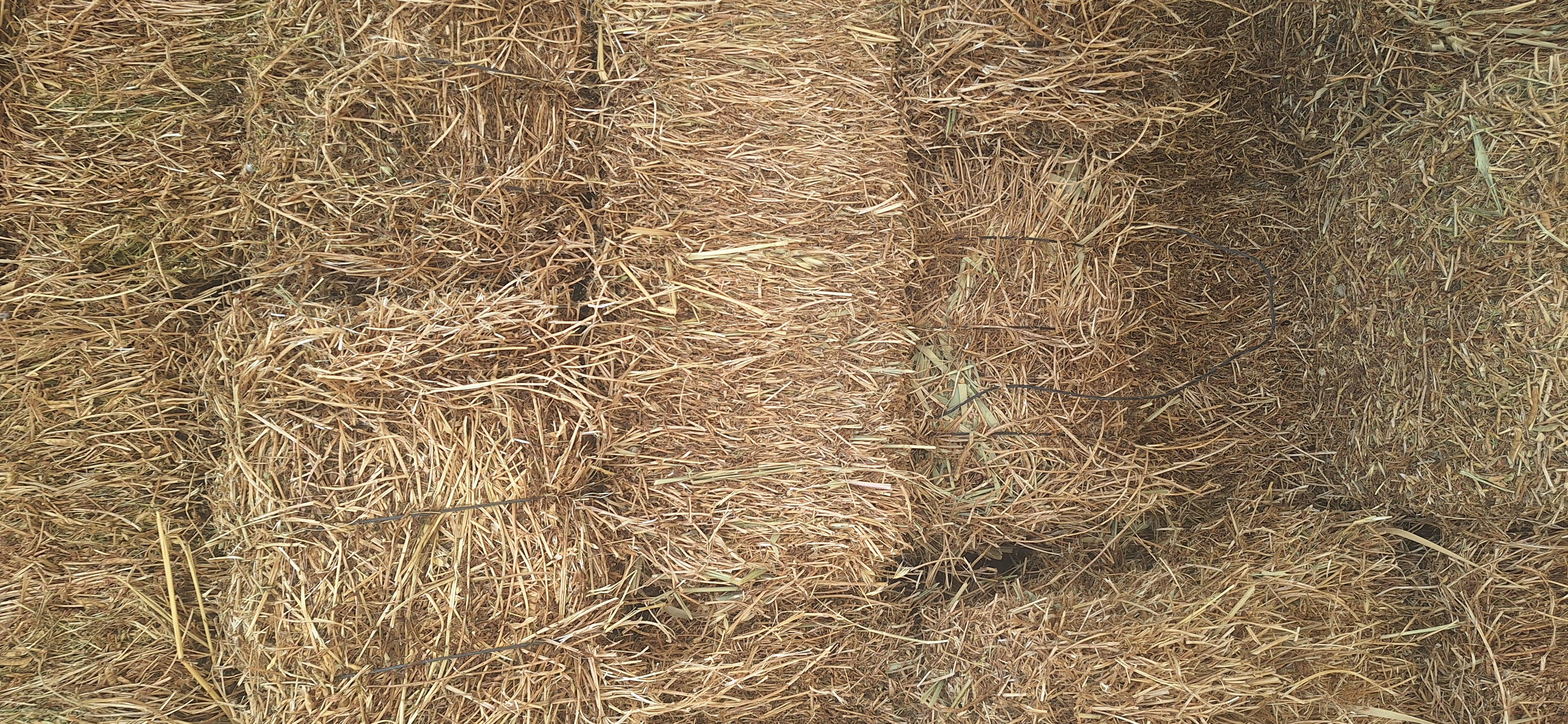 Fiğ Balyası - Özgür Okudan tarafından verilen satılık fiğ balyası ilanını ve diğer satılık fiğ balyası ilanlarını tarimziraat.com adresinde bulabilirsiniz