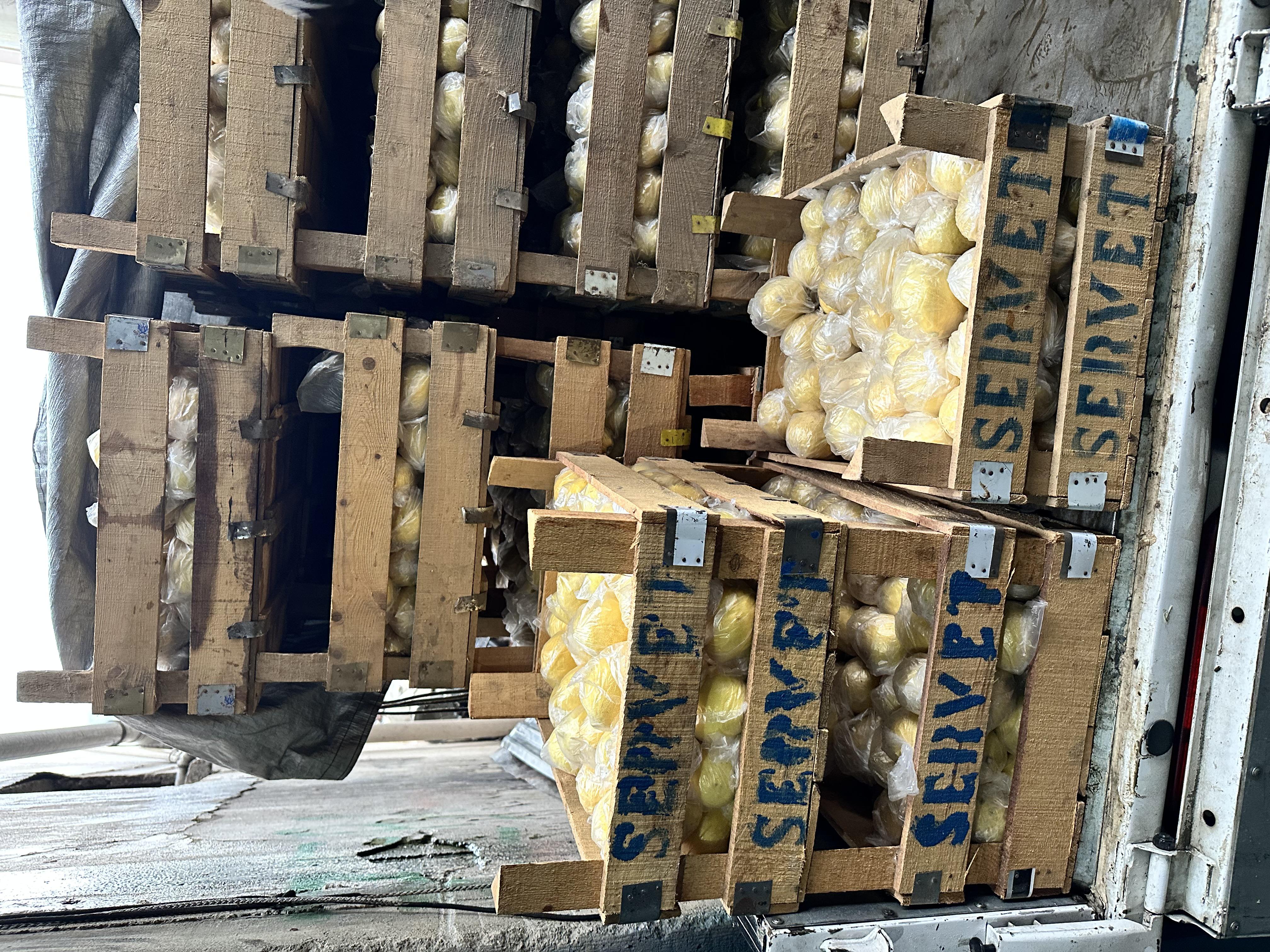 Limon - Muhammed Ouz tarafından verilen satılık yediveren çeşidi limon  ilanını ve diğer satılık limon ilanlarını tarimziraat.com adresinde bulabilirsiniz