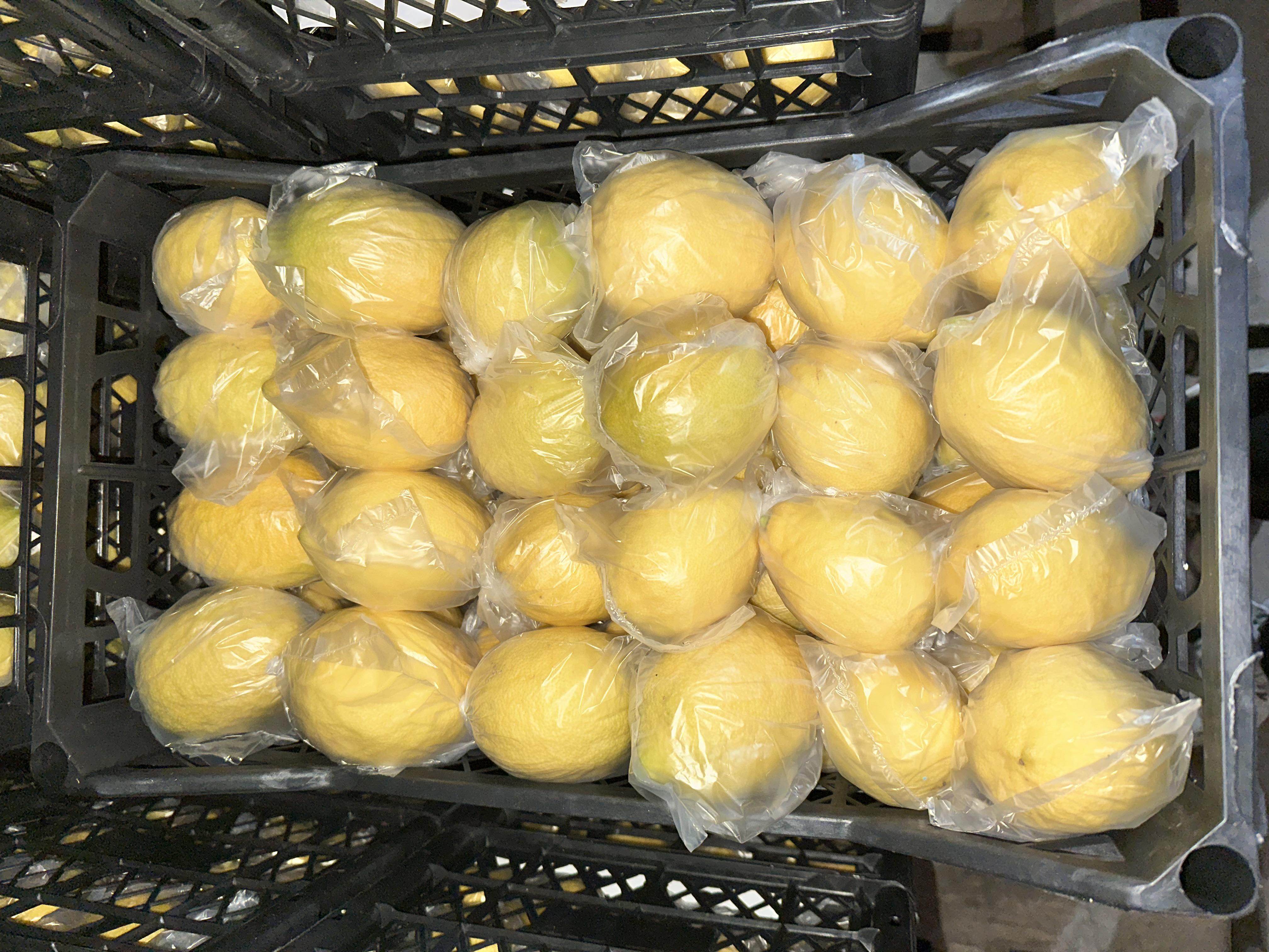 Mersin Mezitli Satılık Limon