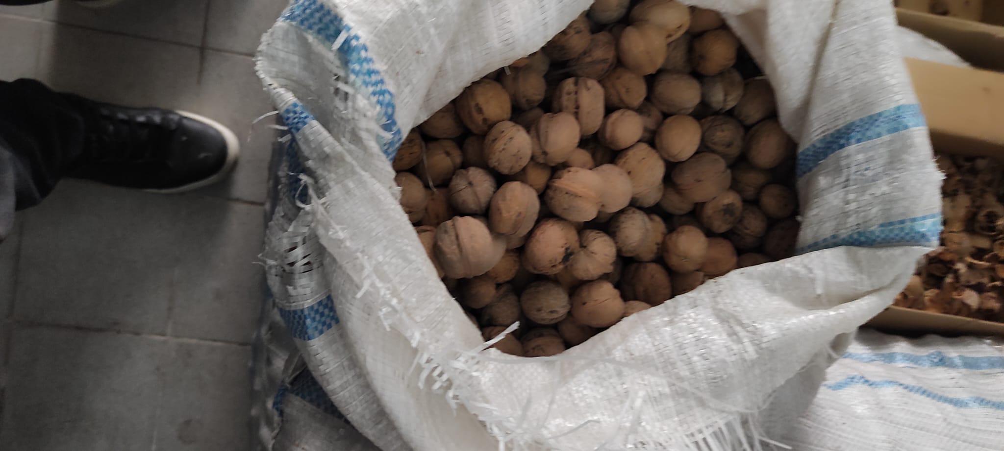 Erdem Alinan Satılık Ceviz - 21.04.2026