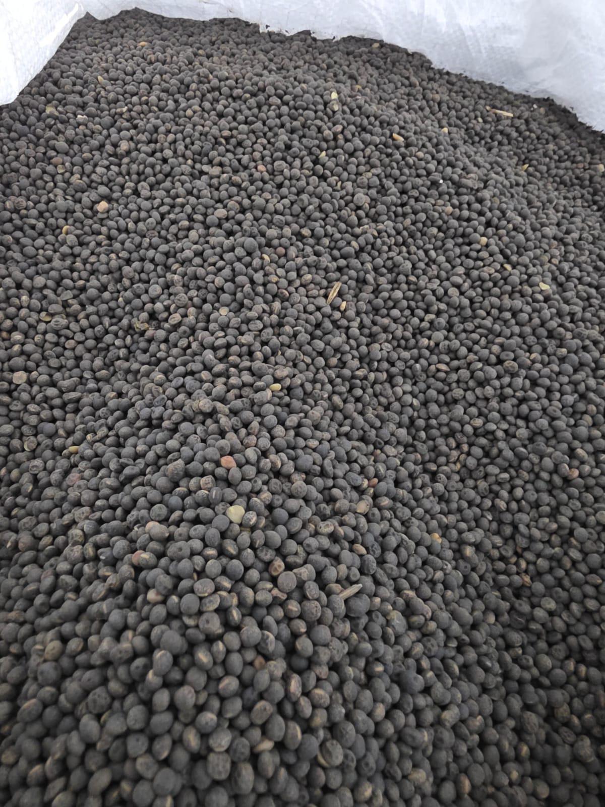 Fiğ - Ufuk Pekel tarafından verilen satılık fiğ ilanını ve diğer satılık fiğ ilanlarını tarimziraat.com adresinde bulabilirsiniz