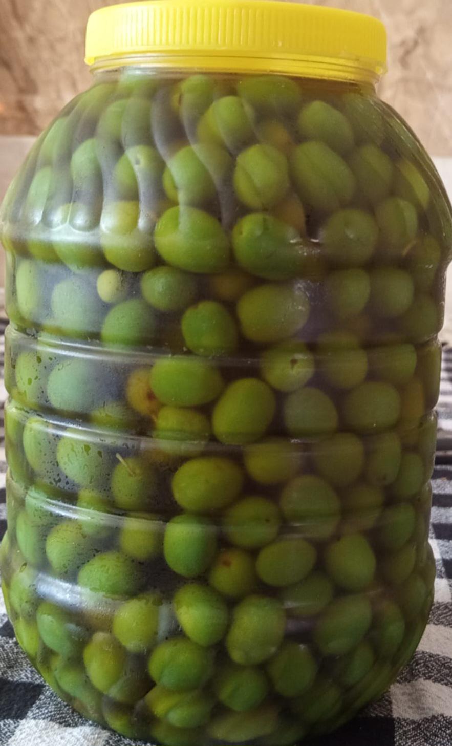 Hatay Altınözü Satılık Zeytin