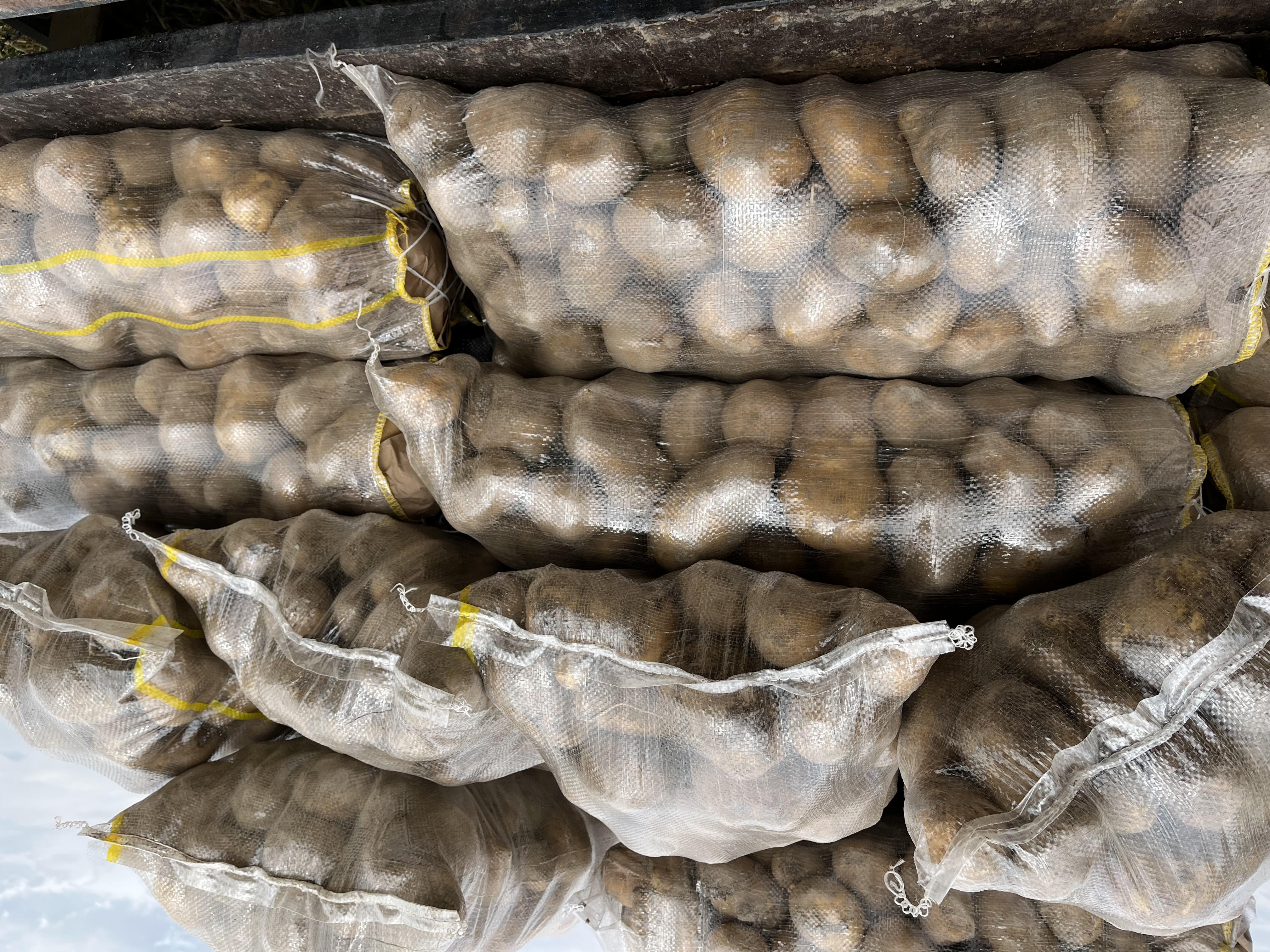 Patates - Sevval Yildirim tarafından verilen satılık agria çeşidi patates  ilanını ve diğer satılık patates ilanlarını tarimziraat.com adresinde bulabilirsiniz