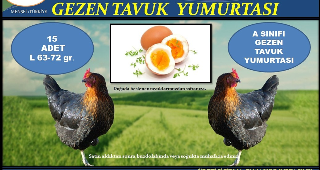 Tavuk yumurtası - Harun Arda tarafından verilen satılık tavuk yumurtası ilanını ve diğer satılık tavuk yumurtası ilanlarını tarimziraat.com adresinde bulabilirsiniz