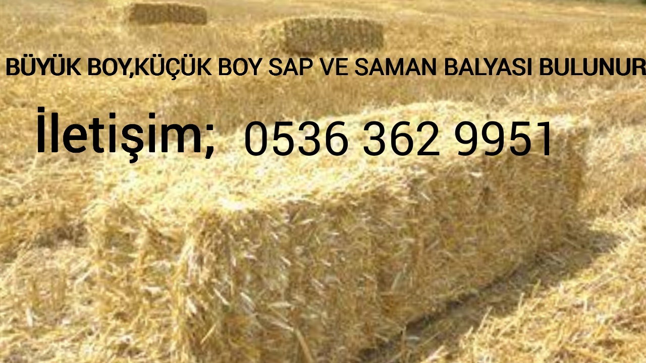 Buğday samanı - Abdulkadir  Acar Abdurahim Acar tarafından verilen satılık buğday samanı ilanını ve diğer satılık buğday samanı ilanlarını tarimziraat.com adresinde bulabilirsiniz