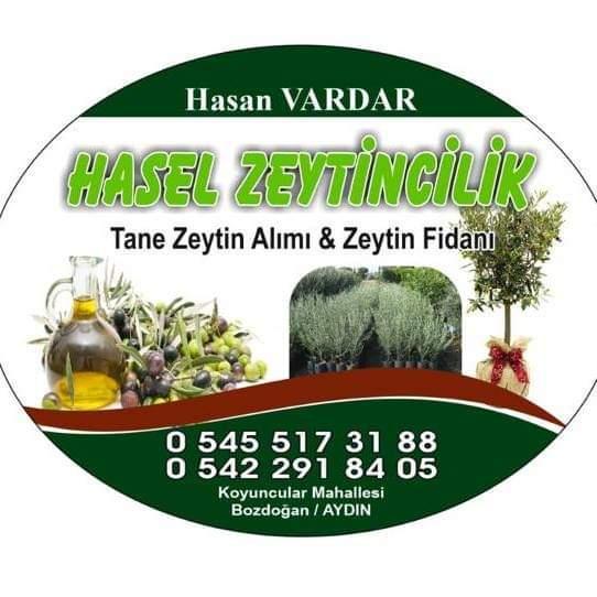 Zeytin fidanı - Hasan Vardar tarafından verilen satılık zeytin fidanı ilanını ve diğer satılık zeytin fidanı ilanlarını tarimziraat.com adresinde bulabilirsiniz