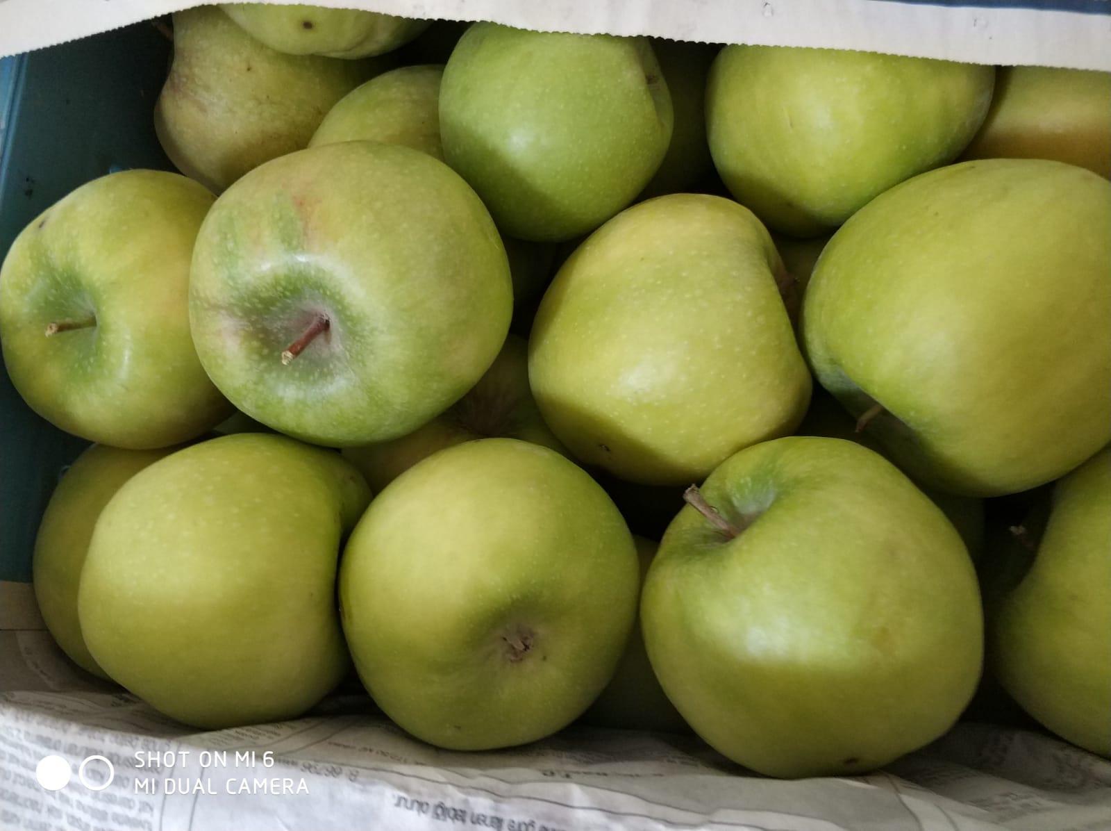 Elma - Evrim Evrim tarafından verilen satılık granny smith çeşidi elma  ilanını ve diğer satılık elma ilanlarını tarimziraat.com adresinde bulabilirsiniz