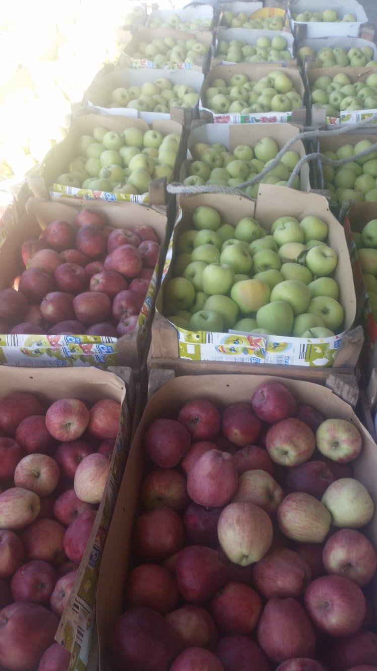 Elma - Vahit Senel tarafından verilen satılık granny smith çeşidi elma  ilanını ve diğer satılık elma ilanlarını tarimziraat.com adresinde bulabilirsiniz