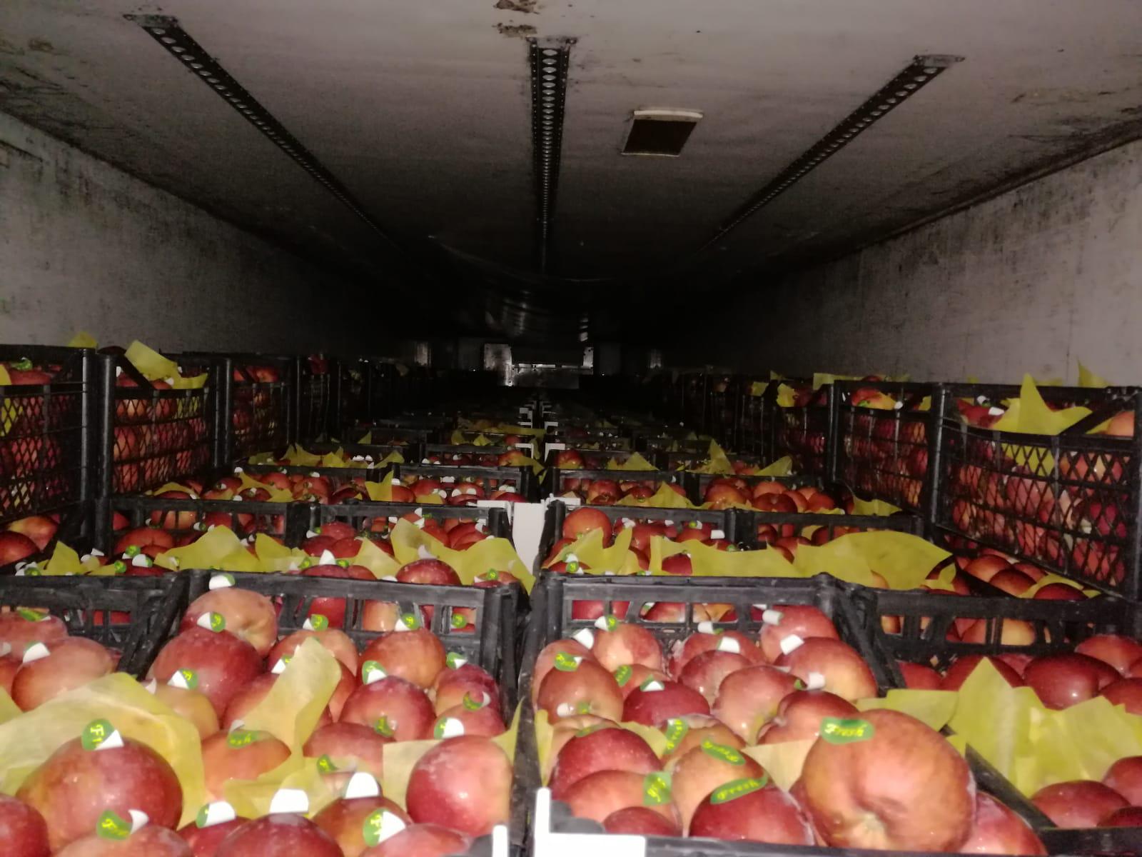 Elma - Siyamed Akbaş tarafından verilen satılık starking delicious çeşidi elma  ilanını ve diğer satılık elma ilanlarını tarimziraat.com adresinde bulabilirsiniz