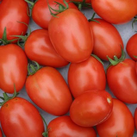 Domates - Cafer Koyuncu tarafından verilen domates alım ilanını ve diğer domates alım ilanlarını tarimziraat.com adresinde bulabilirsiniz