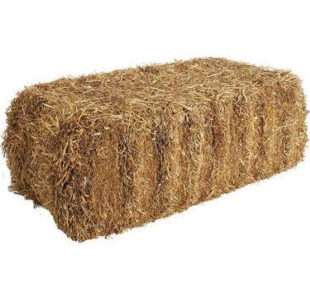 Buğday samanı - Hakan Çetin tarafından verilen satılık buğday samanı ilanını ve diğer satılık buğday samanı ilanlarını tarimziraat.com adresinde bulabilirsiniz