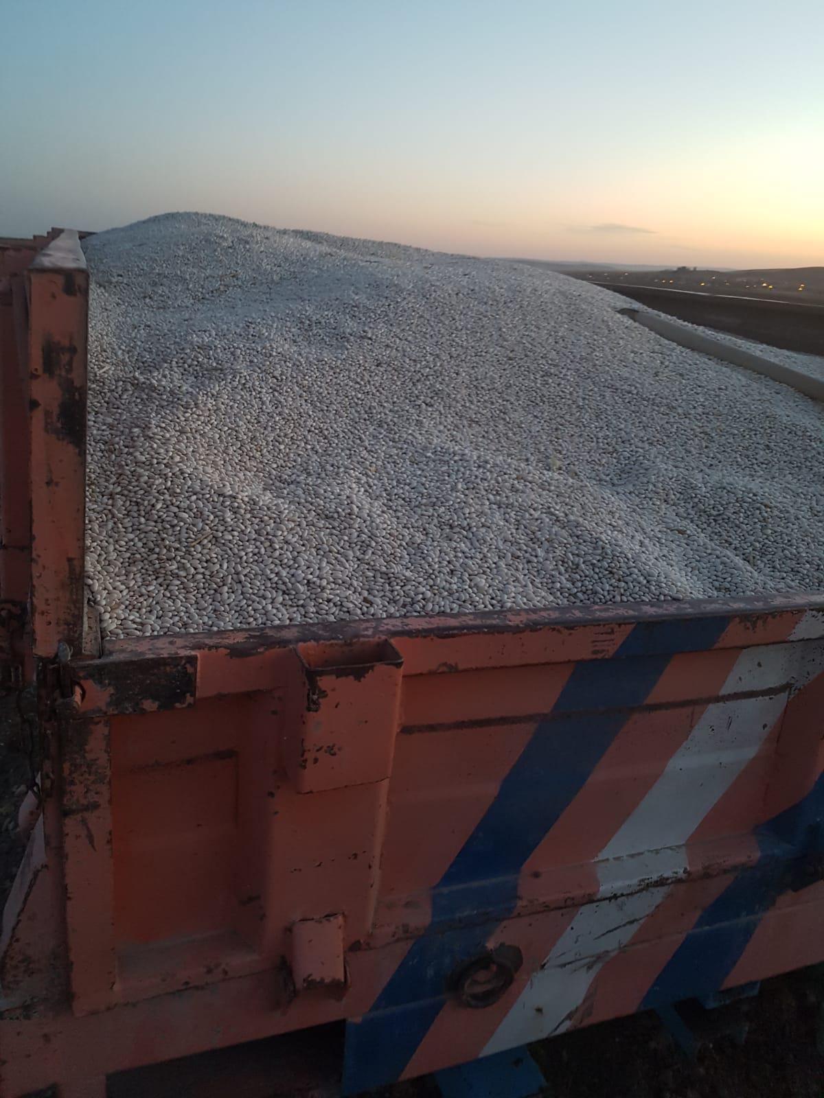 Fasulye (kuru) - Enes Koç tarafından verilen satılık berrak çeşidi fasulye (kuru)  ilanını ve diğer satılık fasulye (kuru) ilanlarını tarimziraat.com adresinde bulabilirsiniz