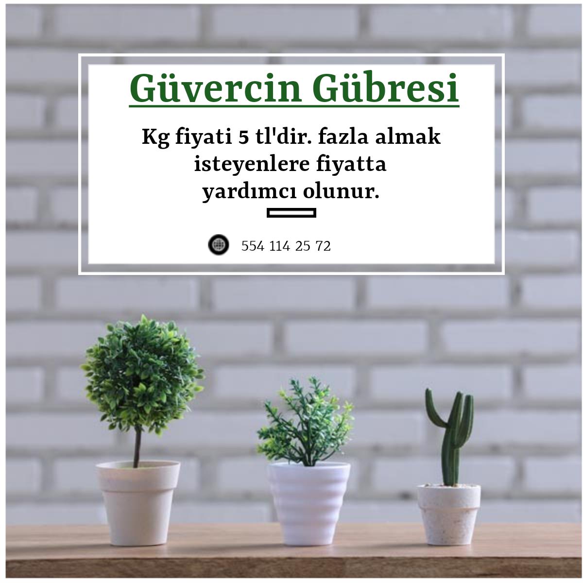 Güvercin Gübresi - Ferhat Yılmaz tarafından verilen satılık güvercin gübresi ilanını ve diğer satılık güvercin gübresi ilanlarını tarimziraat.com adresinde bulabilirsiniz