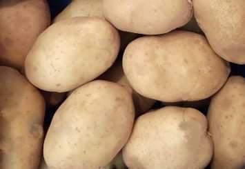 Patates - Si̇nem Orhan tarafından verilen satılık patates ilanını ve diğer satılık patates ilanlarını tarimziraat.com adresinde bulabilirsiniz