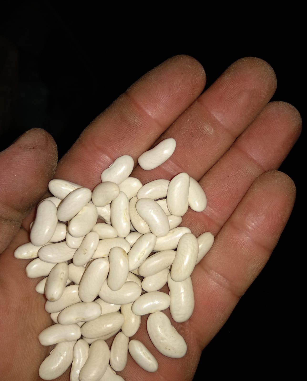 Fasulye (kuru) - Batuhan Yildiz tarafından verilen satılık fasulye (kuru) ilanını ve diğer satılık fasulye (kuru) ilanlarını tarimziraat.com adresinde bulabilirsiniz