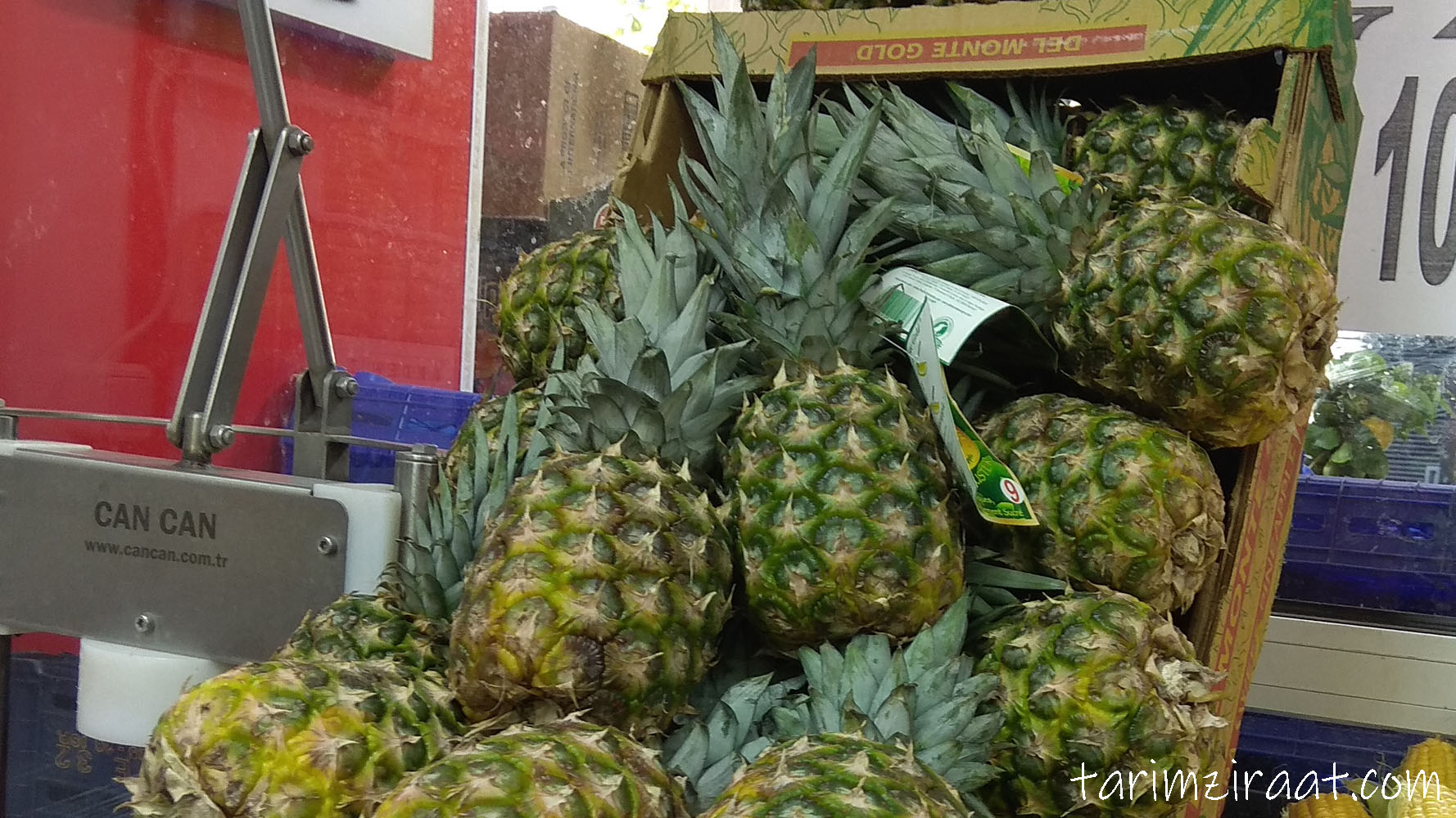 Ananas fiyatları,Ananas piyasası, Ananas resmi