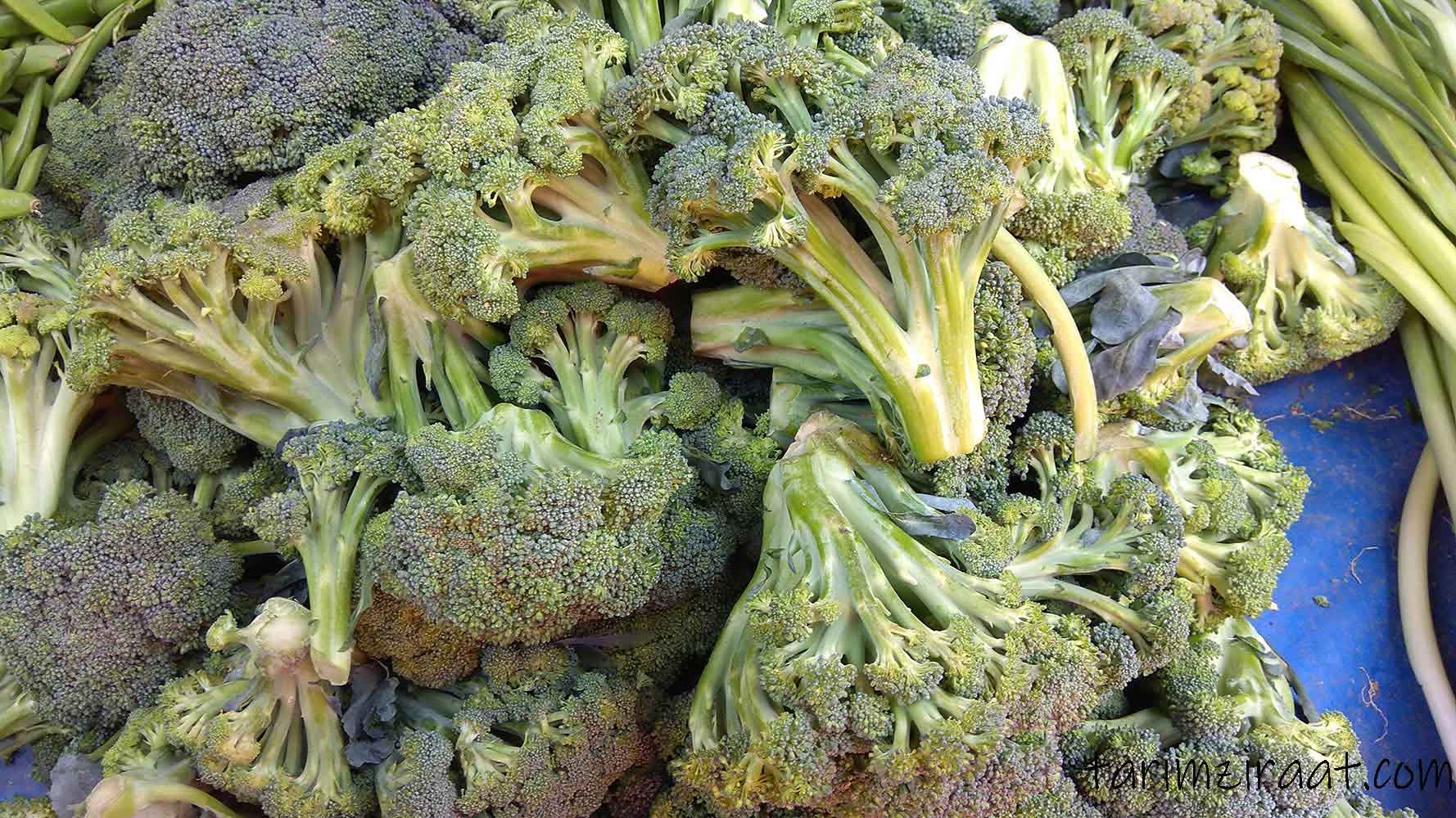 Brokoli fiyatları,Brokoli piyasası, Brokoli resmi