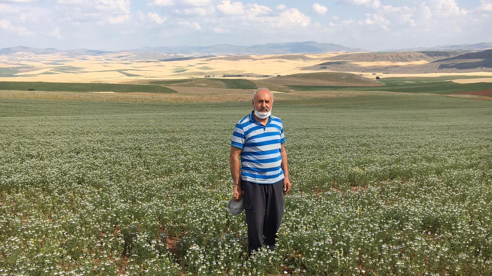 Ahmetdede Şahinli