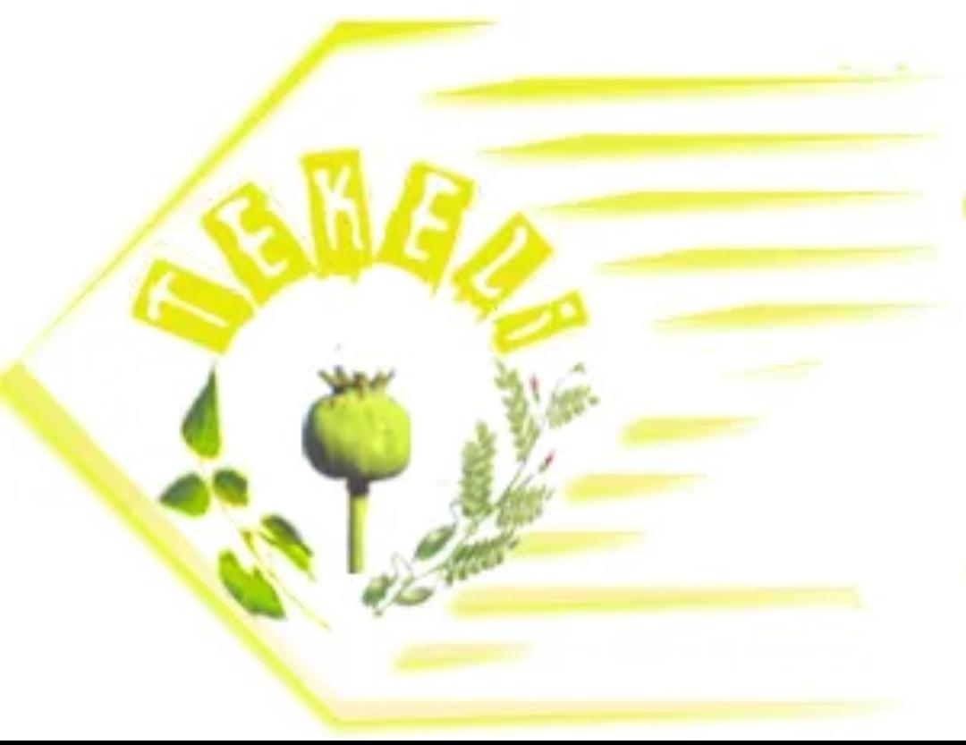 Recep Tekeli
