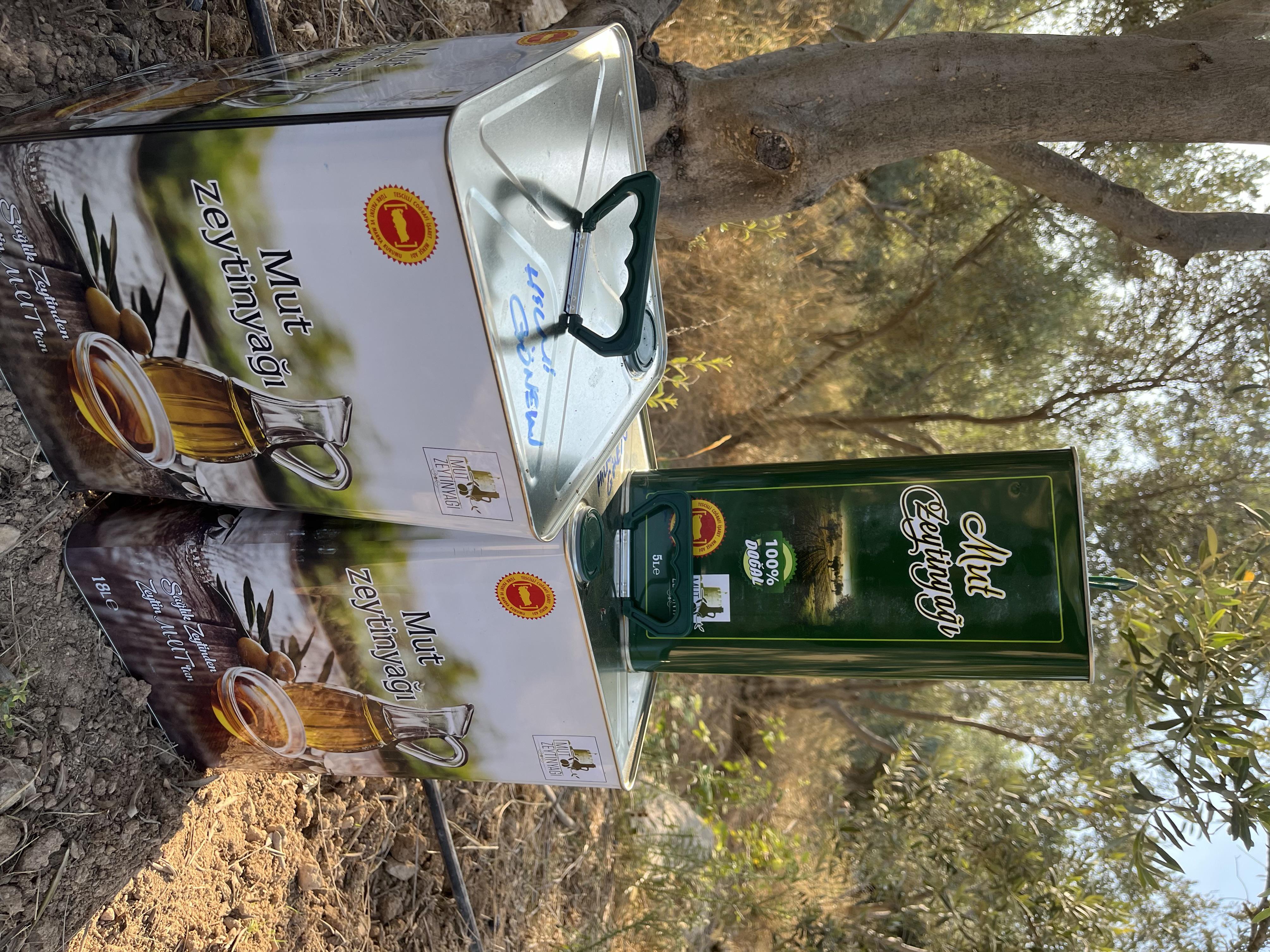 hilmi gönen hilmi gönen