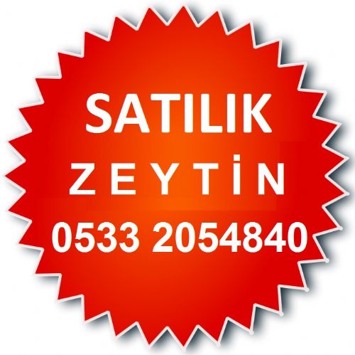 Niyazi  Acara - tarimziraat.com