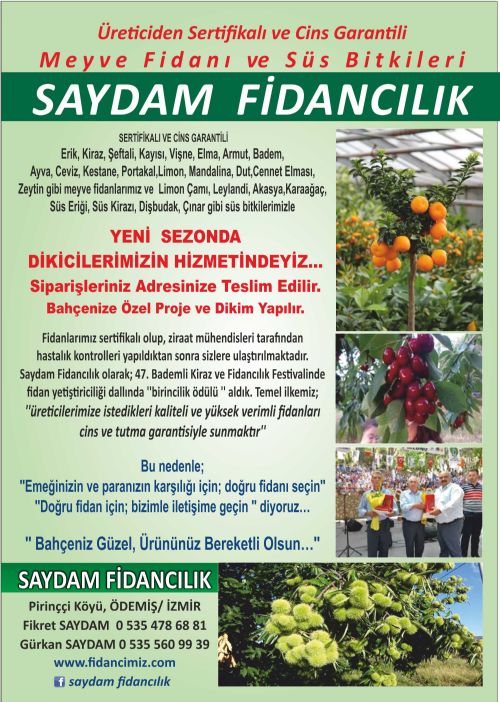 mehmet saydam