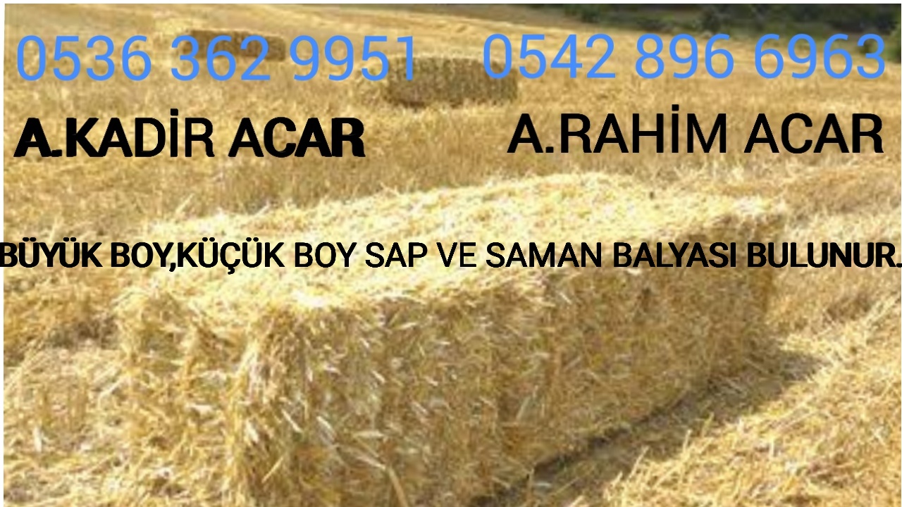 Abdulkadir  Acar Abdurahim Acar