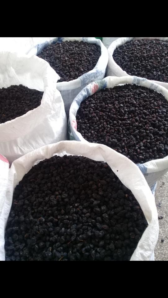 Cafer Içaçan