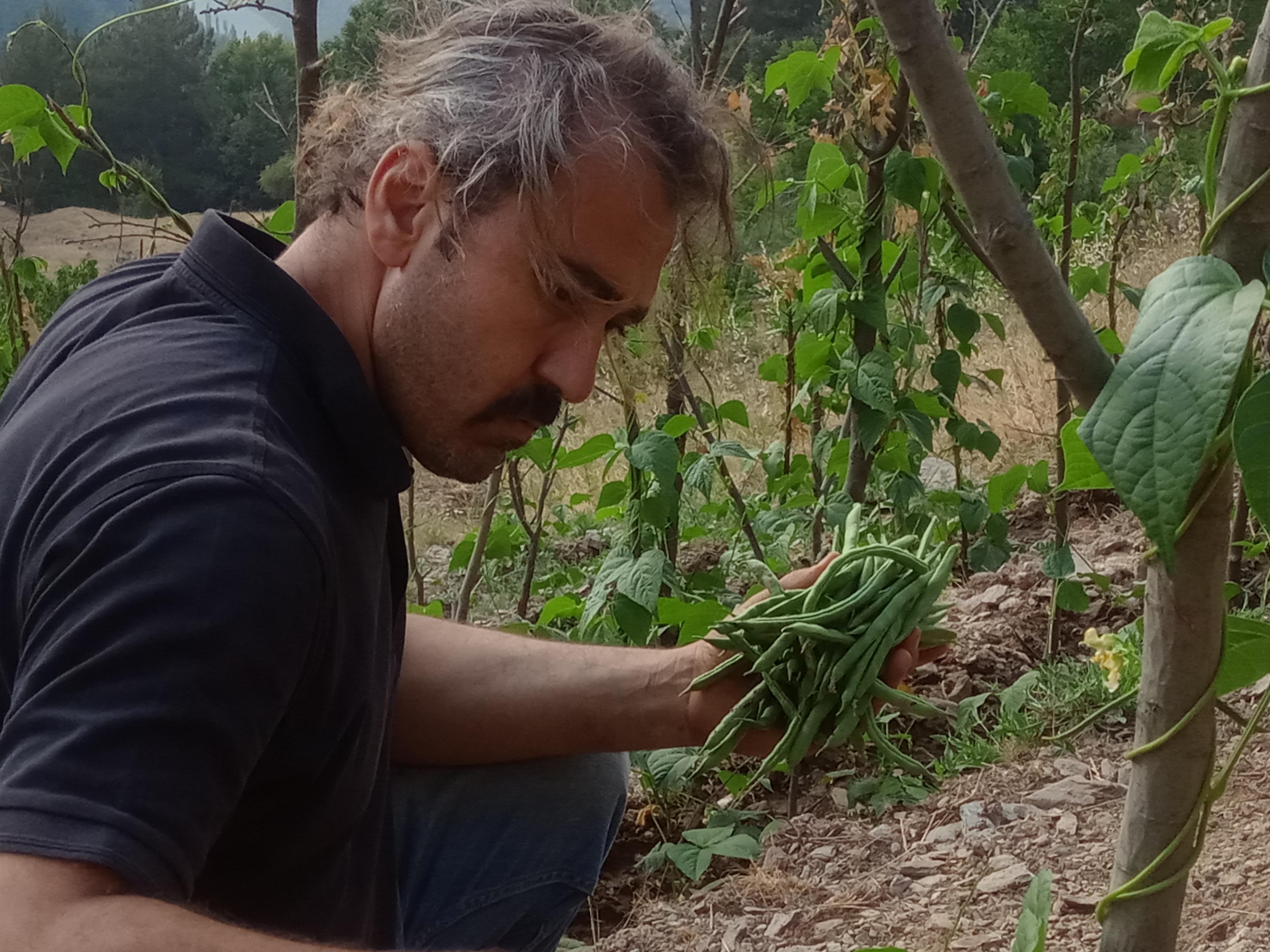 Bayram Ejderha