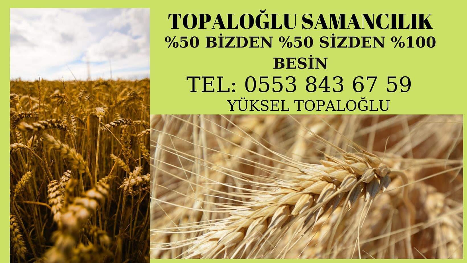 Seçgul Topaloğlu - tarimziraat.com