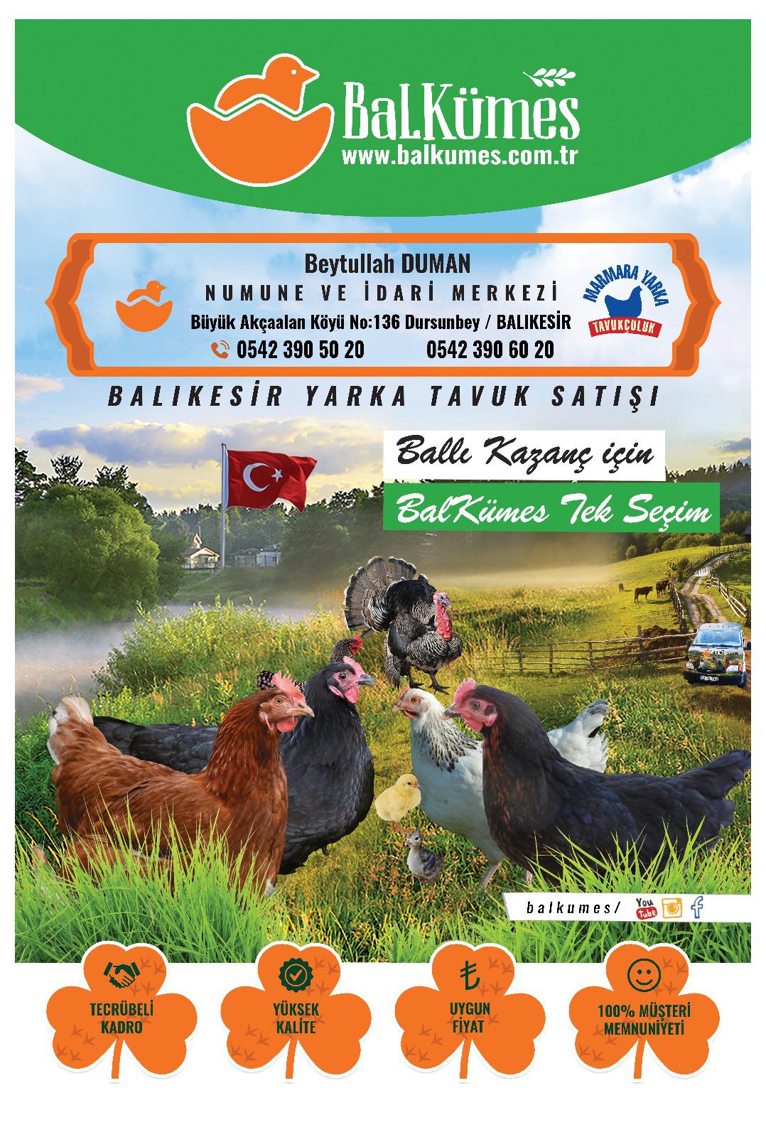 Balkümes Yarka
