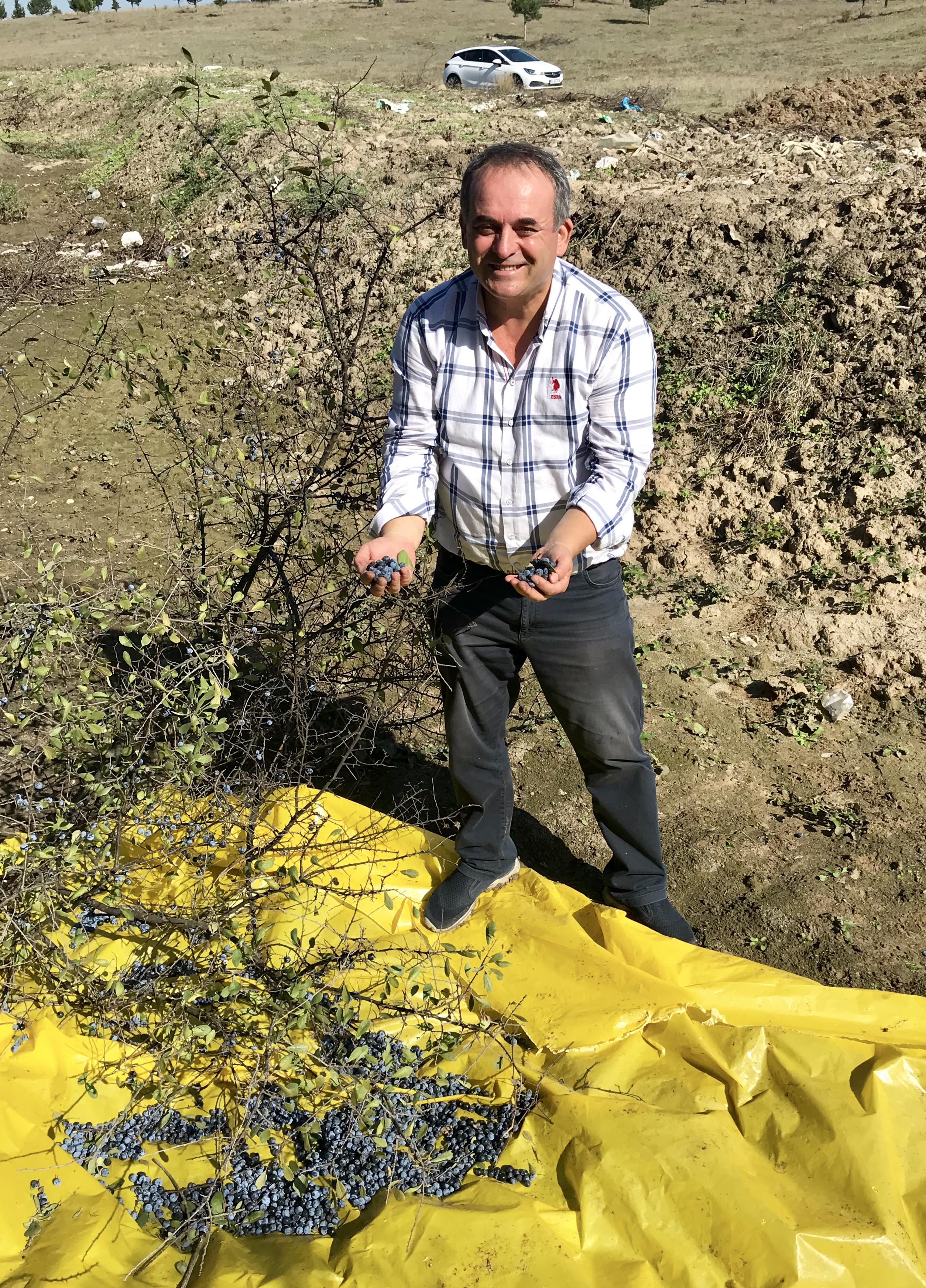 Birol Alagöz