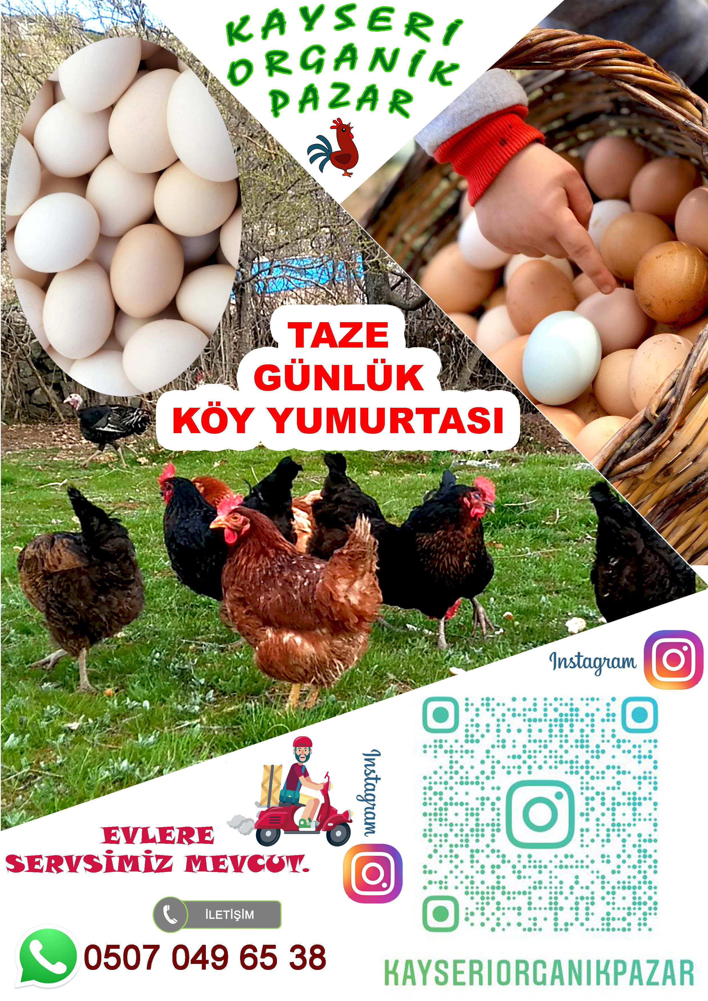 Harun İbi̇ş - tarimziraat.com