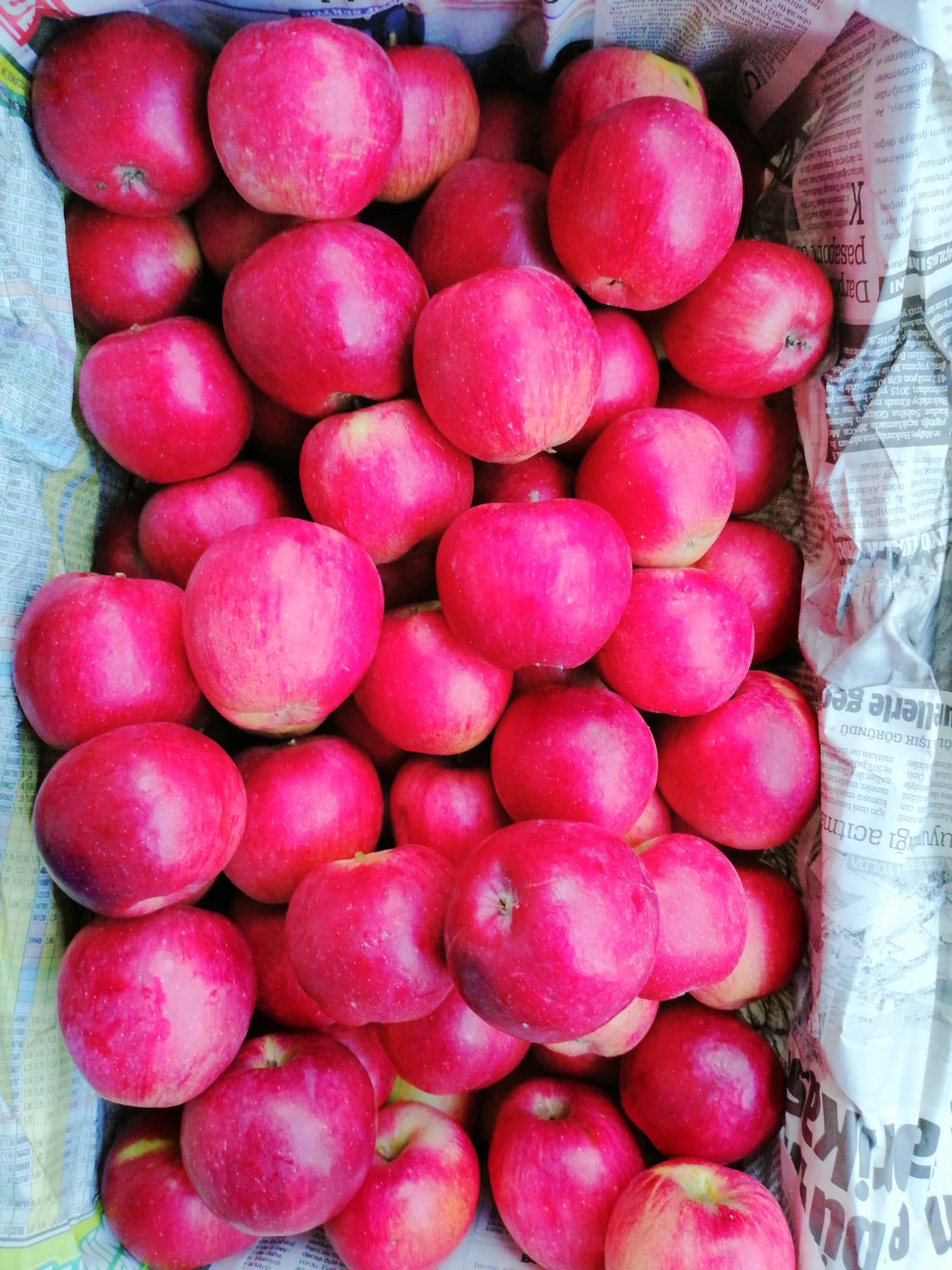 Fatmanur Nevra