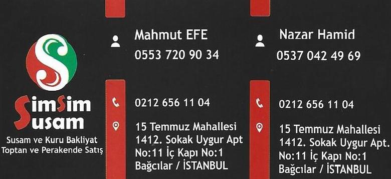 Mahmut Efe