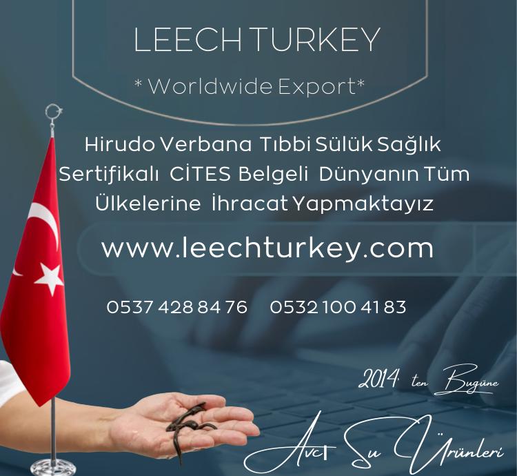 İstanbul Sülük Avcı Su Ürünleri Dış Tic.i̇hr.şti  Toptan -Perakende