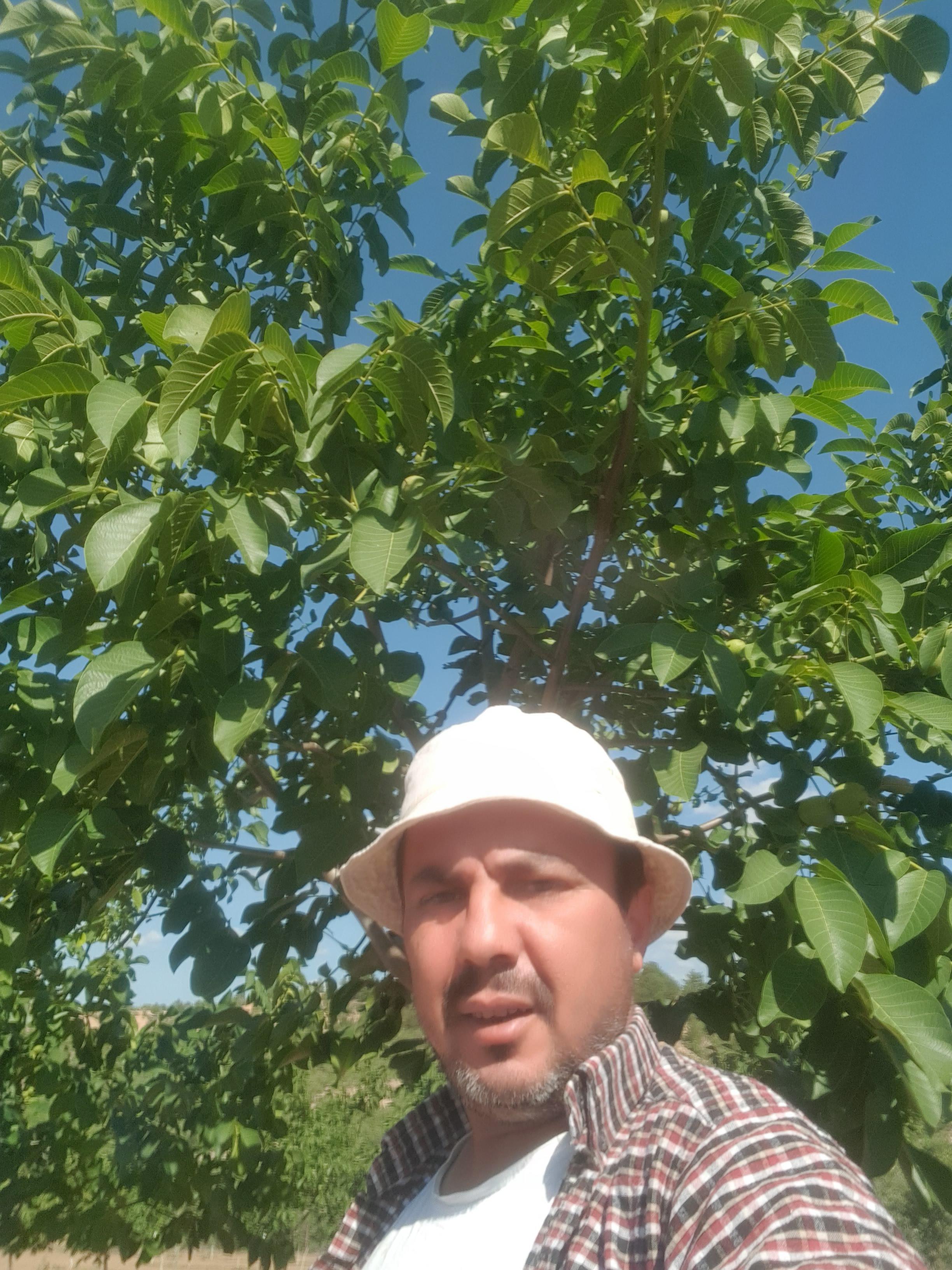 Ufuk Çeli̇k