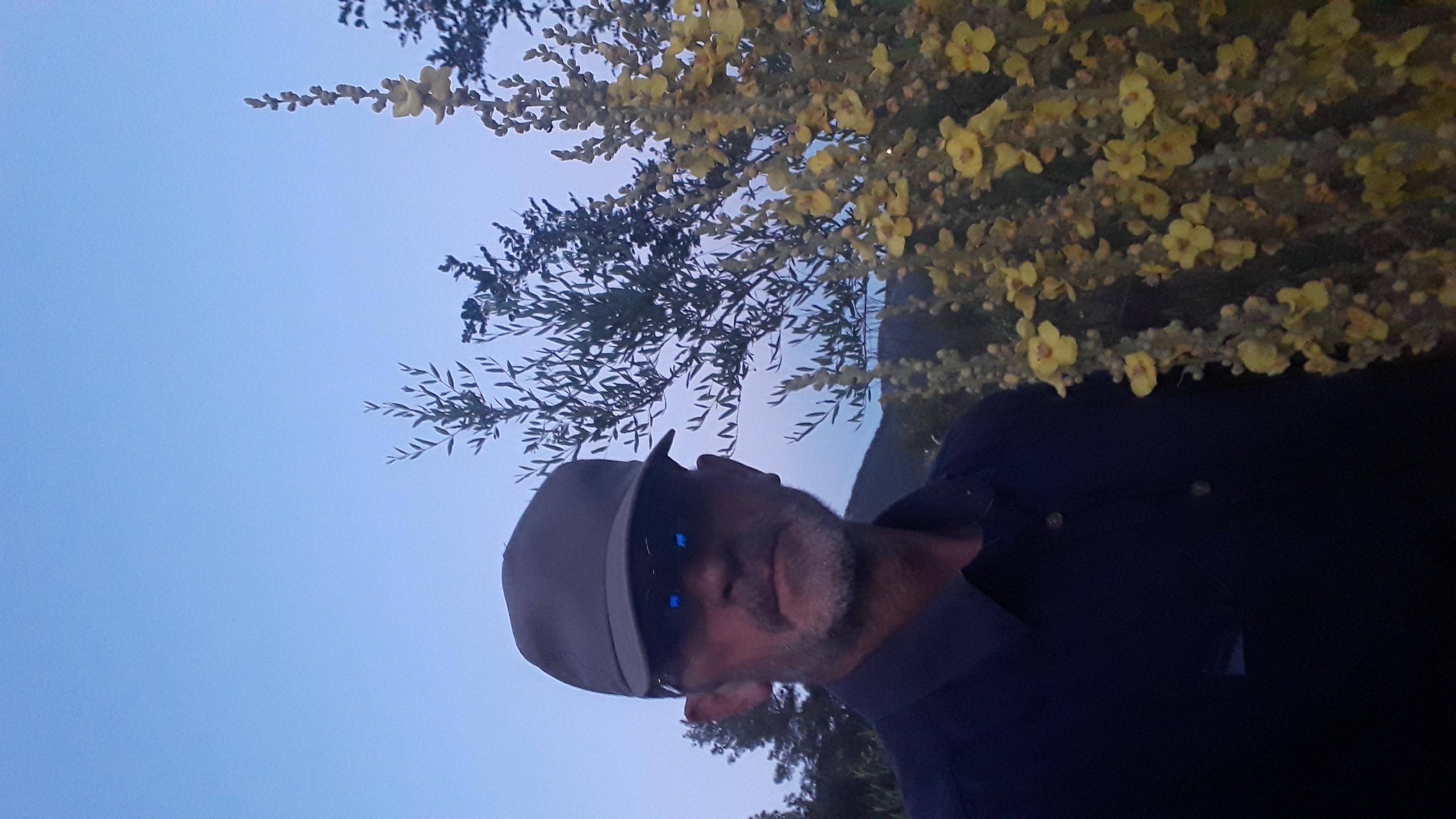 Yavuz Arslan