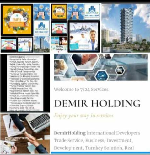 Demir&Holding International World Export Import Info Com. Ar&Ge. Dan. Hiz.