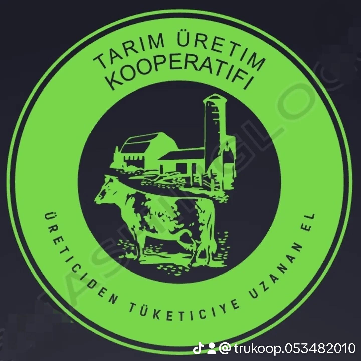 Çetin Eronsu@Gmail.com