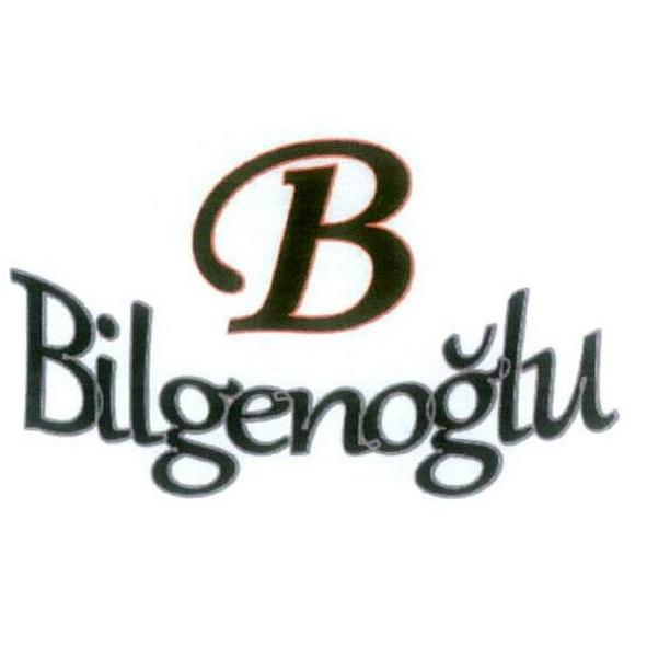 Halit Bilgen