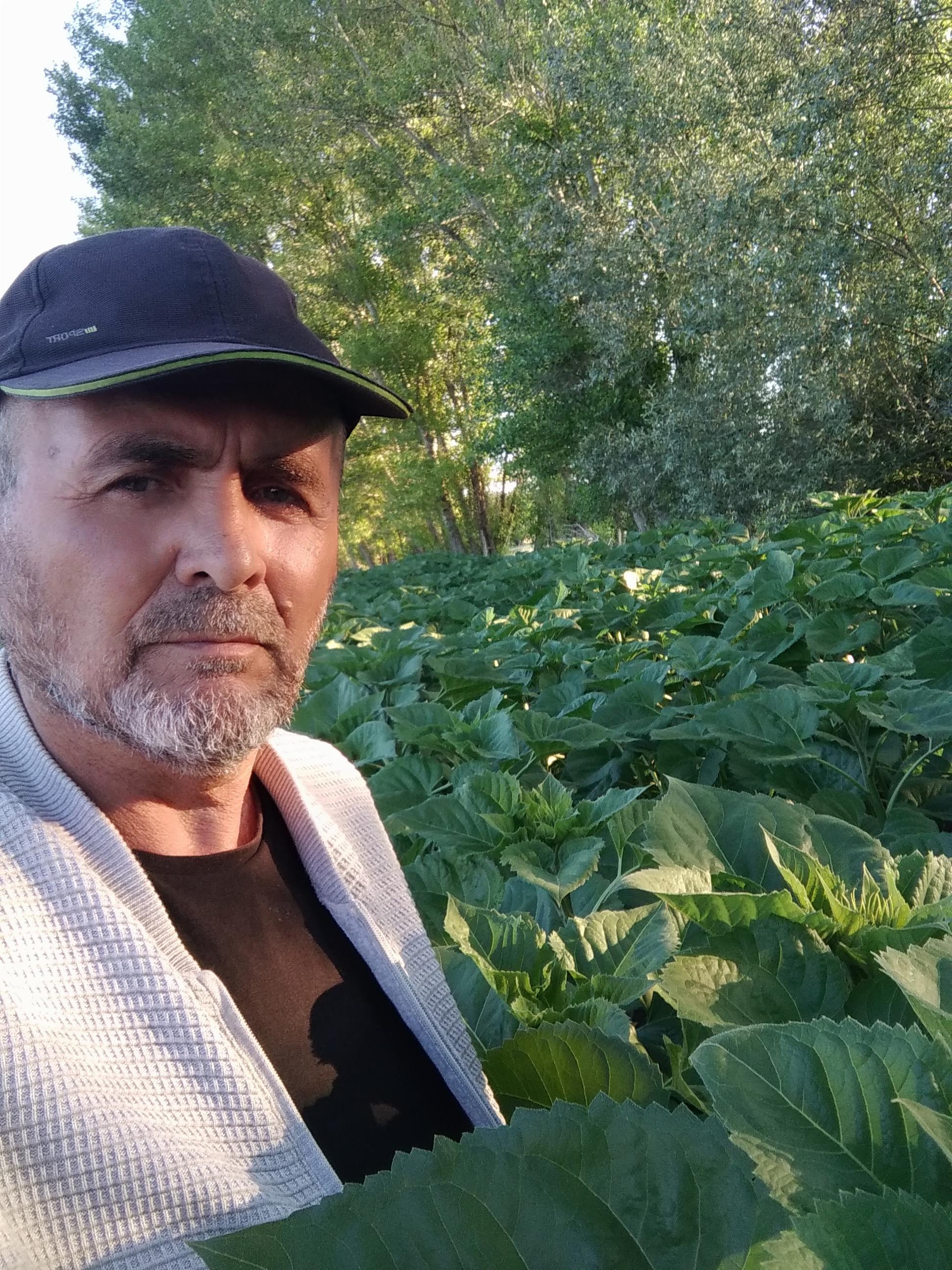 ZİHNİ AĞAN